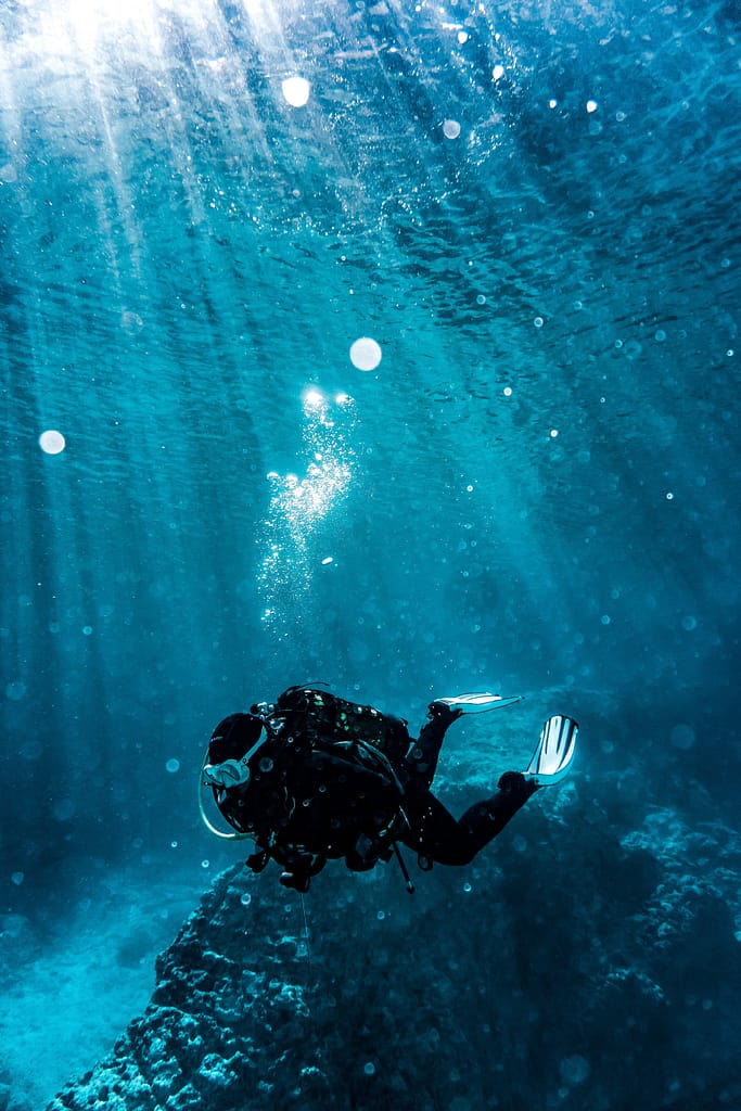 Beginner's Guide To Scuba Diving