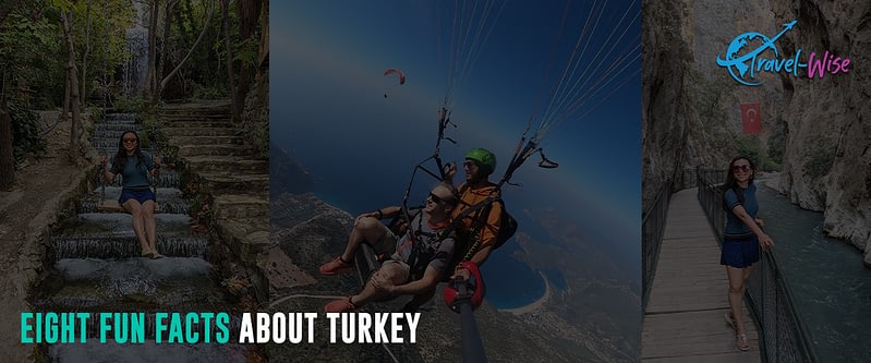 Eight-fun-facts-about-turkey