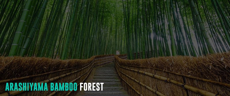 Arashiyama-Bamboo-Forest