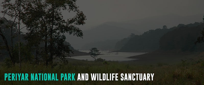 Periyar-National-Park-and-Wildlife-Sanctuary