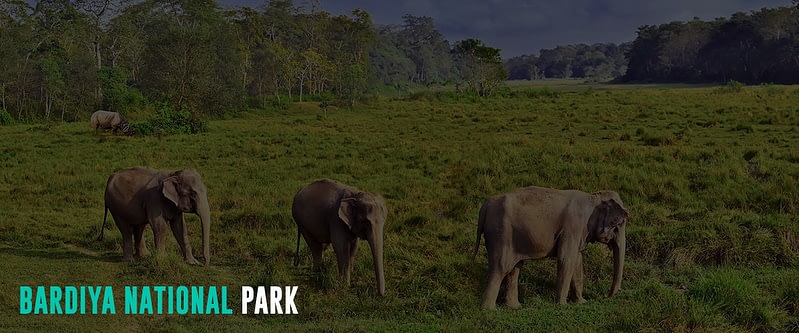 Bardiya-National-Park