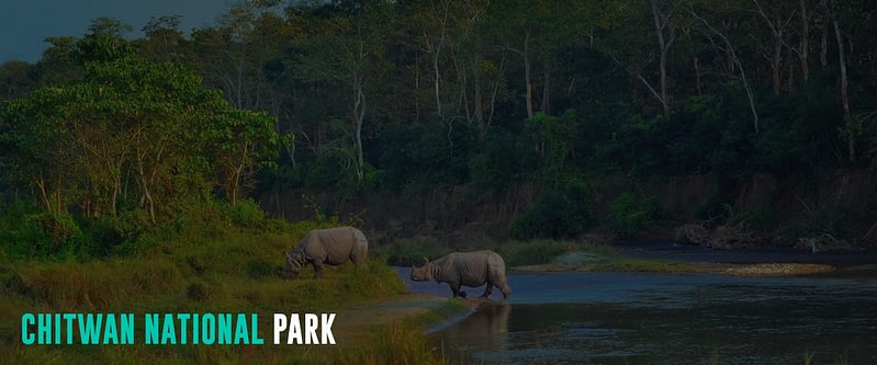 Chitwan-National-Park