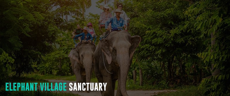 Elephant-Village-Sanctuary