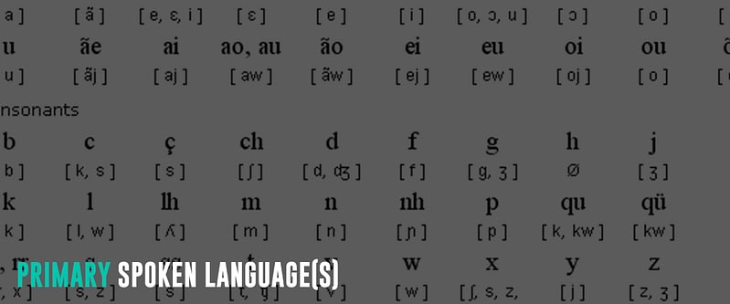 Primary-Spoken-Language(s)