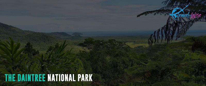 The-Daintree-National-Park