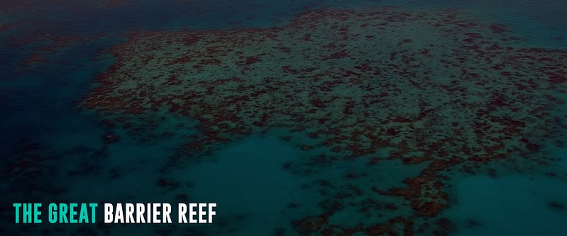 The-Great-Barrier-Reef