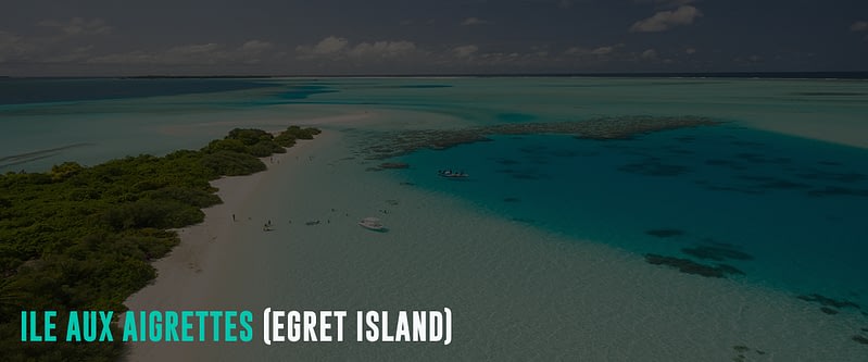 Ile-aux-Aigrettes-(Egret-Island)