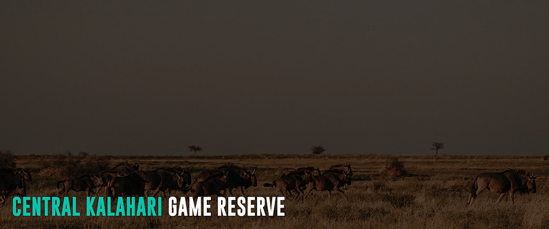 Central-Kalahari-Game-Reserve