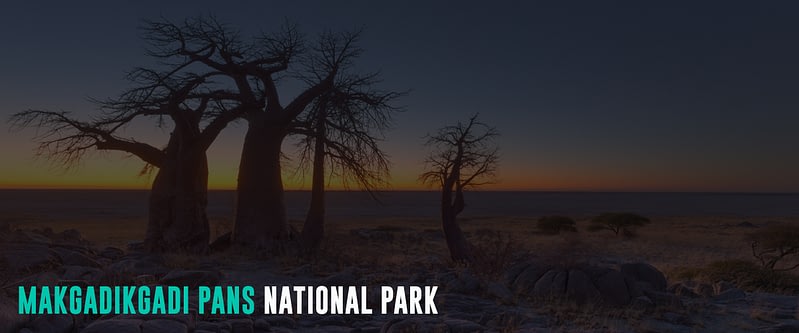 Makgadikgadi-Pans-National-Park