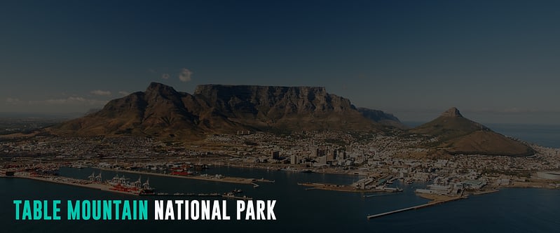 Table-Mountain-National-Park