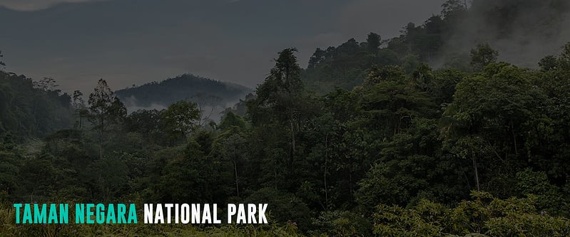 Taman-Negara-National-Park