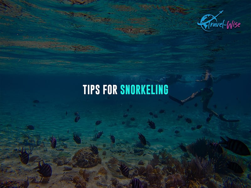 Tips for Snorkeling