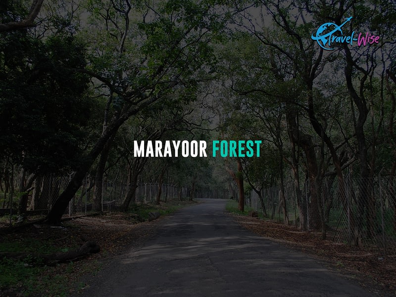 Marayoor-forest