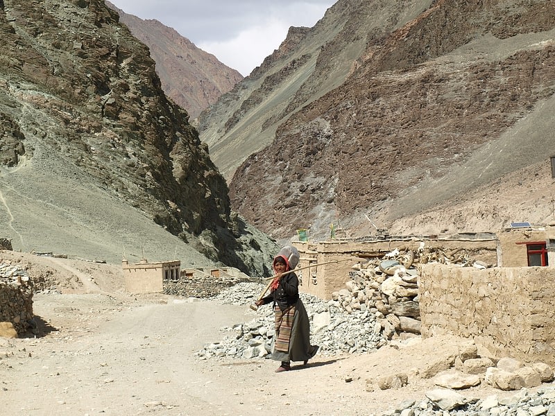 Ladakh Locals