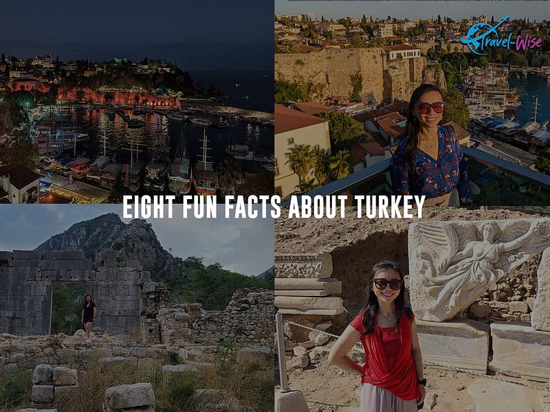 Eight-fun-facts-about-turkey
