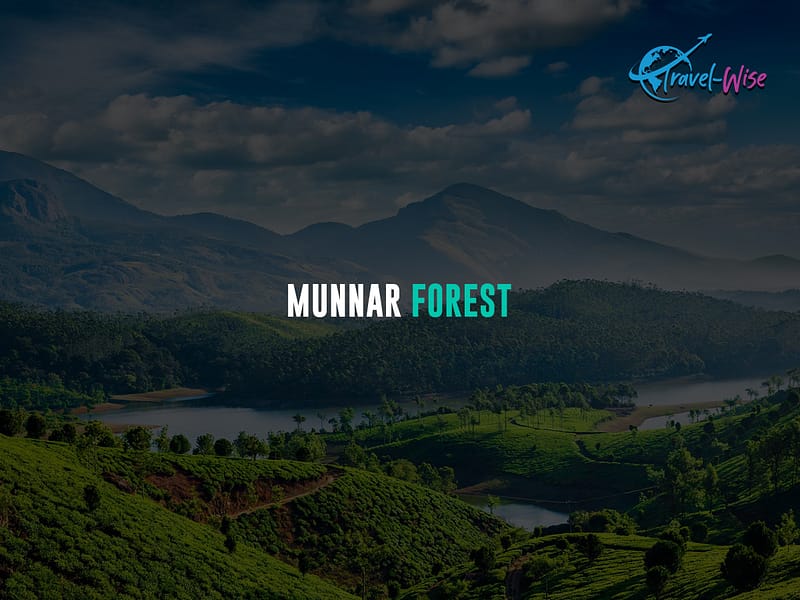 Munnar-Forest