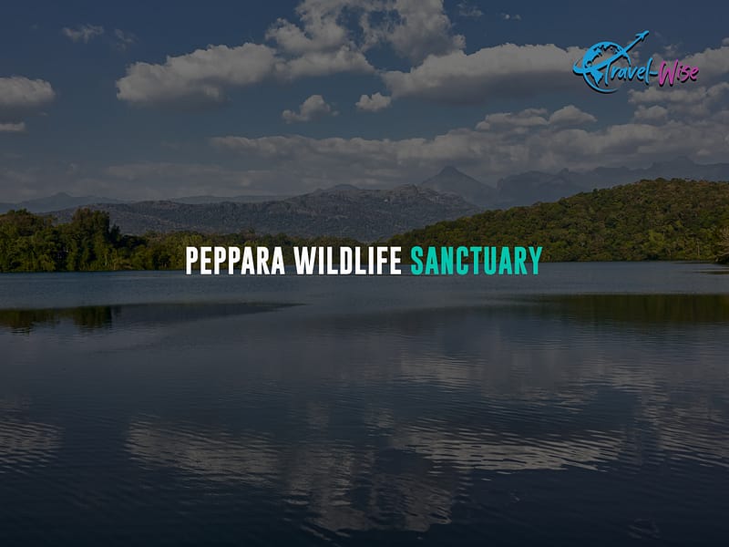 Peppara-Wildlife-Sanctuary