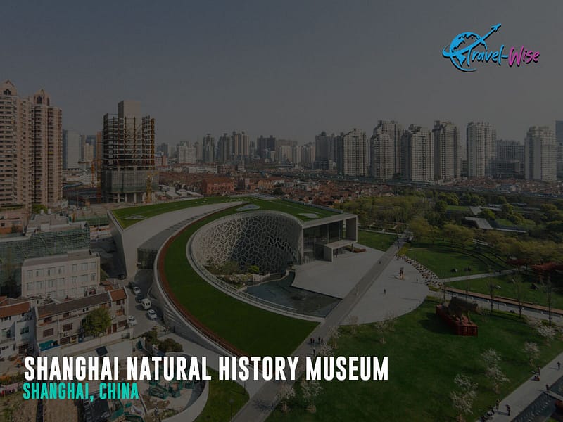 Shanghai Natural History Museum. Shanghai China. Business trip