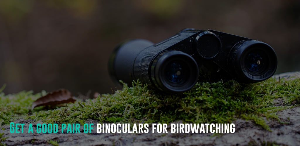a binocular on a bunch of moss