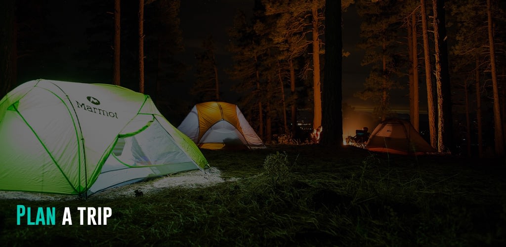 campers with their tents lit up at night