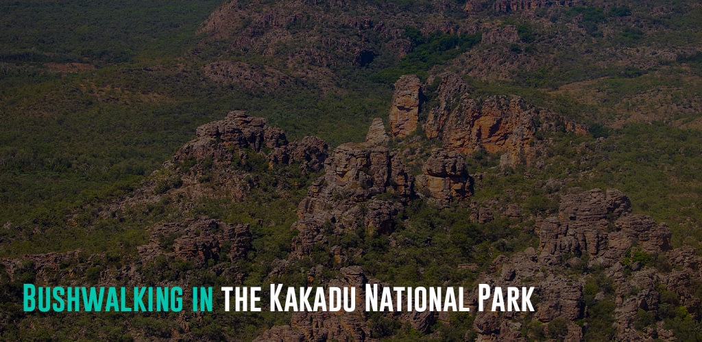 aerial view of the Kakadu National Park