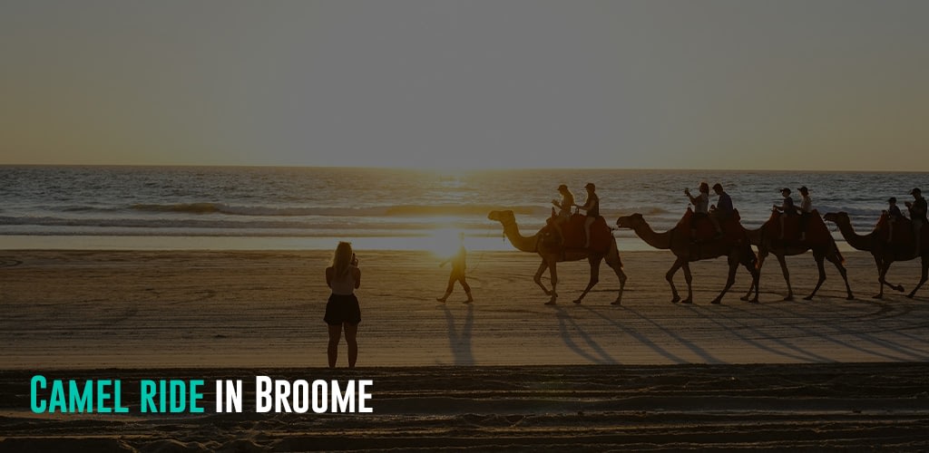 silhouette of people riding camels on beach during sunset