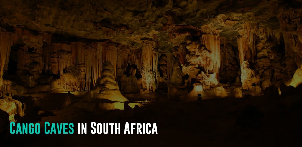 stalagmite formations inside a cave lit up by spotlights