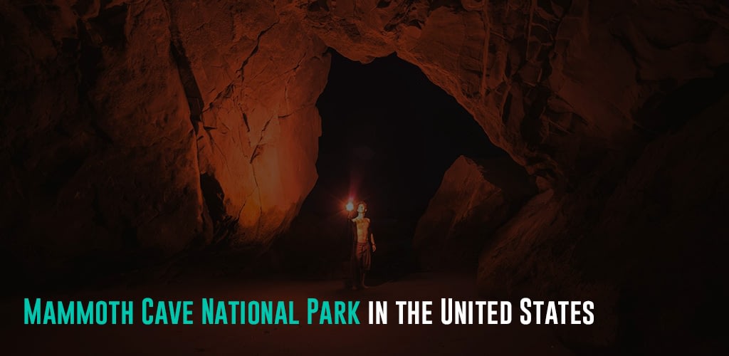 a person holding a flare lighting up the cave