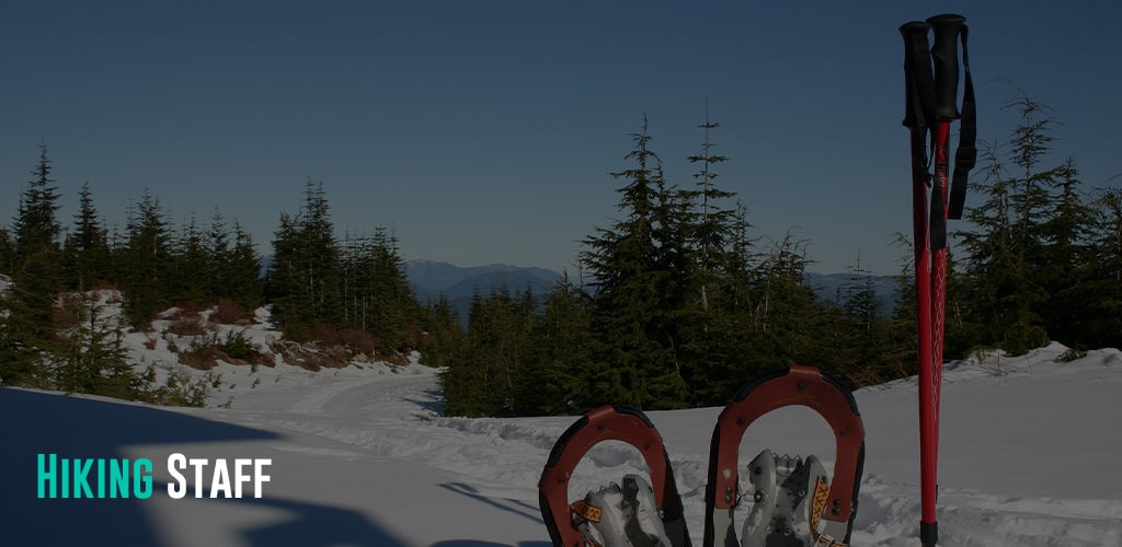 snowshoes and a hiking staff