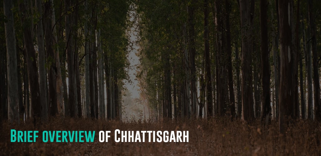Chhattisgarh: Brief overview