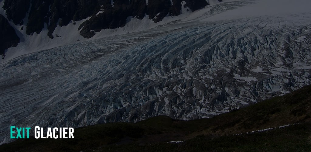 a view of the Alaskan Exit Glacier