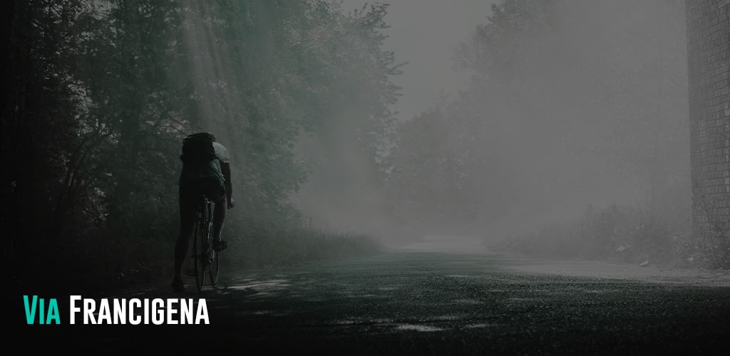 person riding on bicycle in a foggy forest
