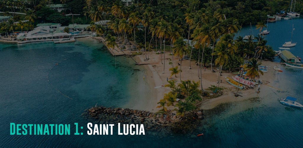 an aerial view of a beach in Saint Lucia