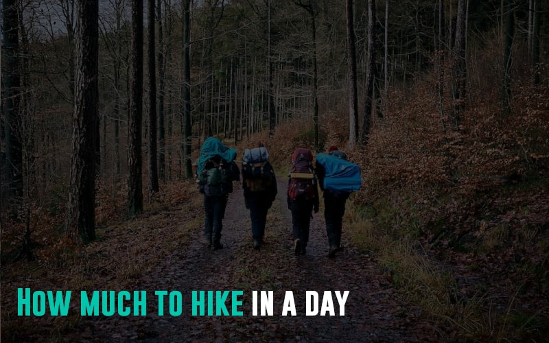 How much to hike in a day