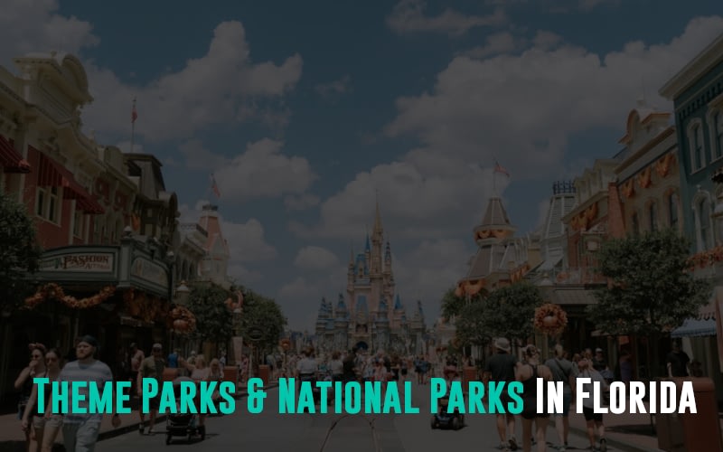 Theme Parks & National Parks In Florida