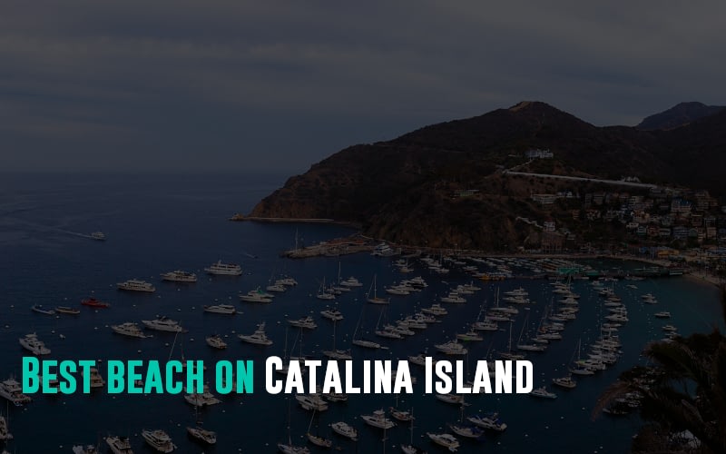 Best beach on Catalina Island