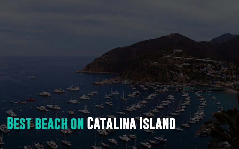 Best Beach on Catalina Island