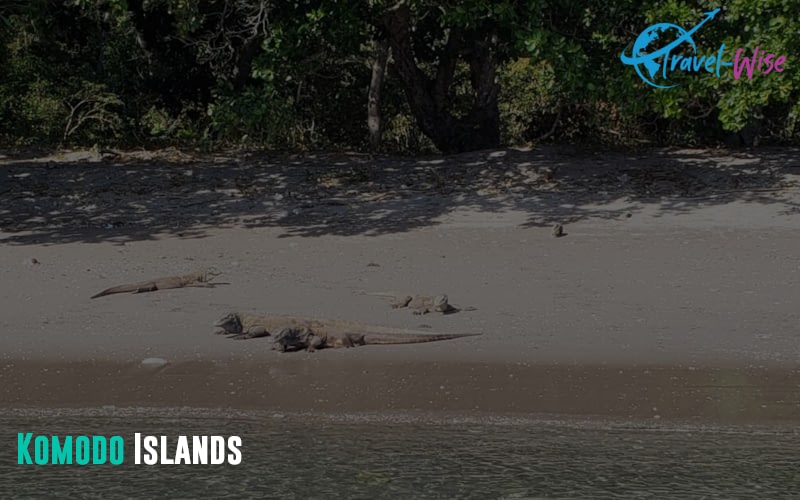 Komodo Islands