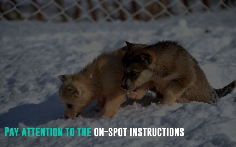 Pay attention to the on-spot training and instructions