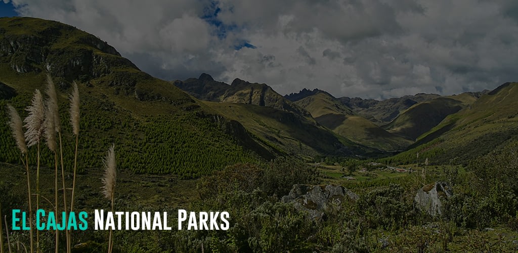 lush green Hills and Valleys in the El Cajas National Park, Ecuador