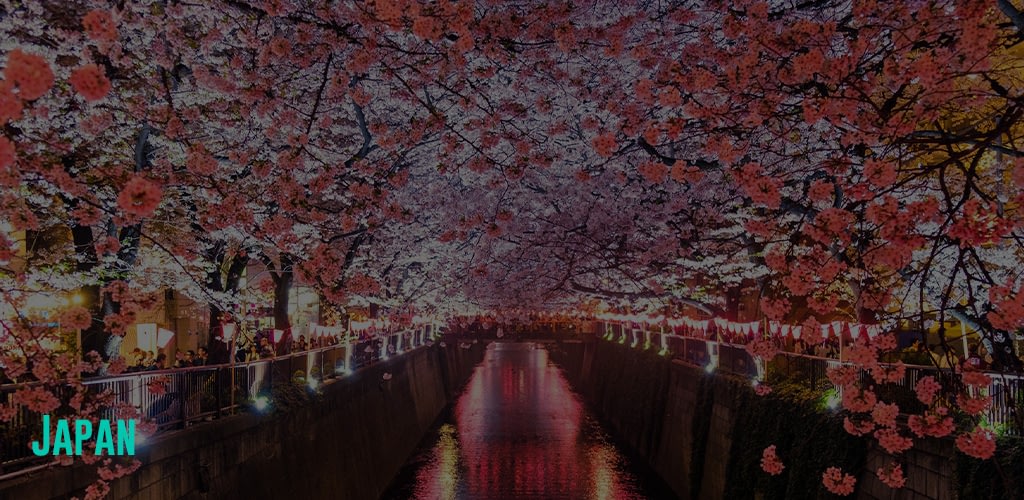 Meguro River, Japan