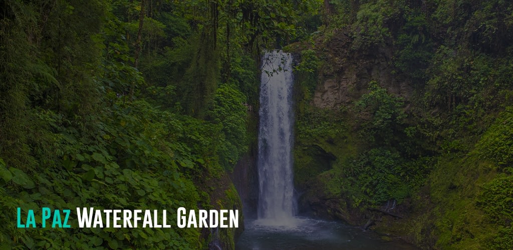 a view of the La Paz Waterfall surrounded by a lush green forest