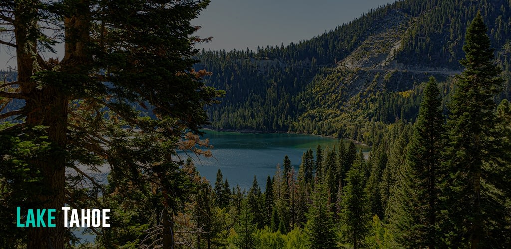 A view through trees of Lake Tahoe, USA