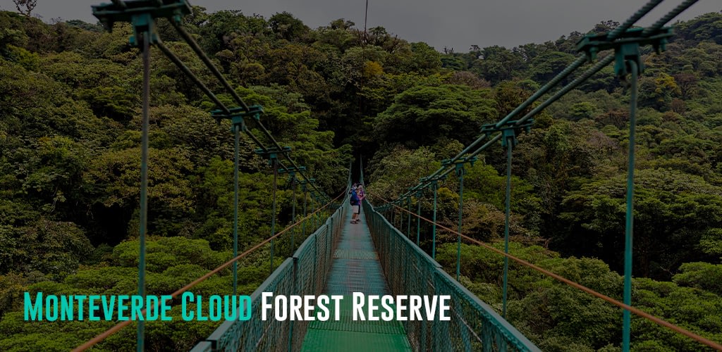 tourists enjoying the view on the hanging bridge of Monteverde Cloud Forest Reserve