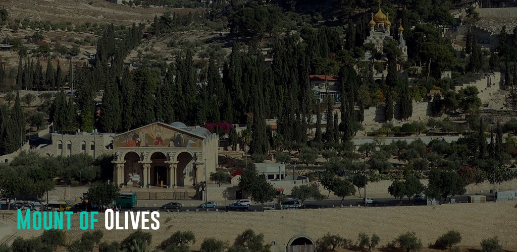 Aerial view of Mount Olives.