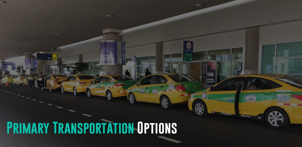 a line of yellow taxis waiting for passengers