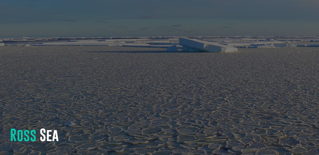 Tidal swell bumps newly formed ice together to form pancake ice in the Ross Sea