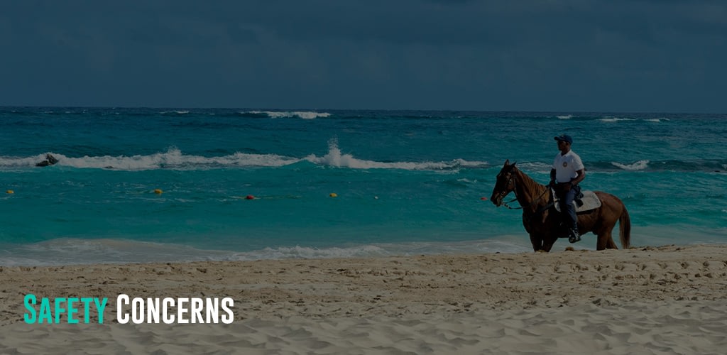 a police officer on a horse watching over the beach