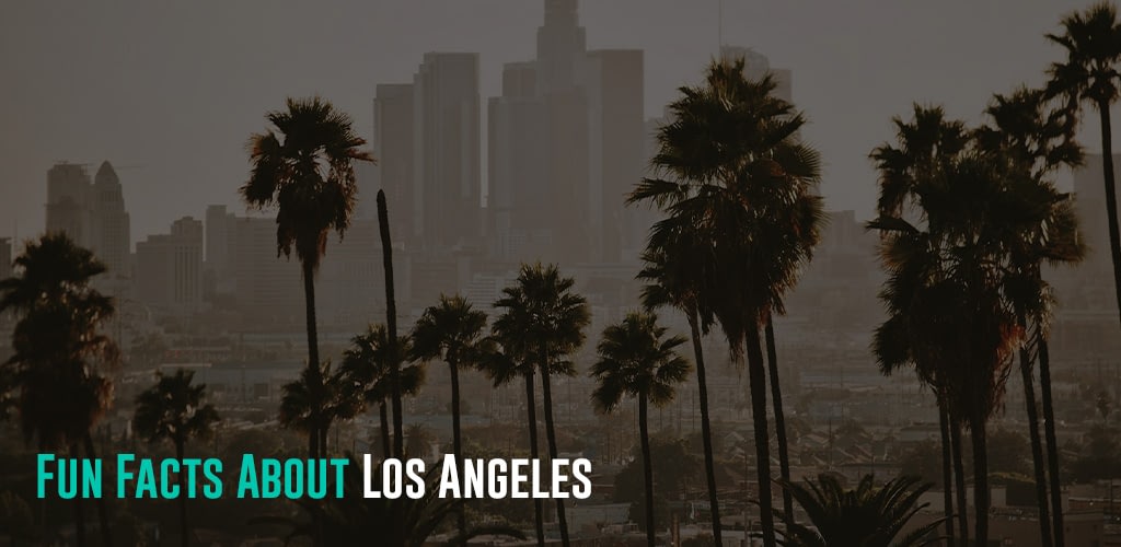 A shot of Los Angeles city through its iconic palm trees