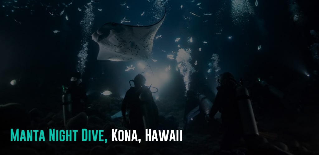 a group of divers underwater at night watching a Manta ray passing above their lights